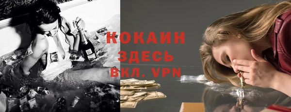 стафф Козловка