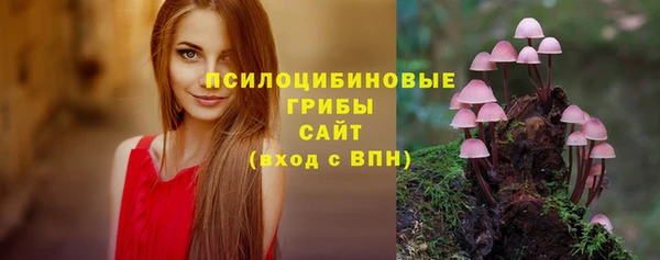 соль ск Каменка