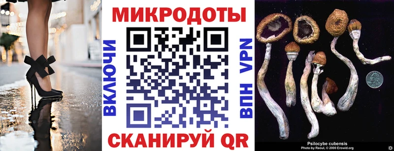 Галлюциногенные грибы Cubensis  Гусев 